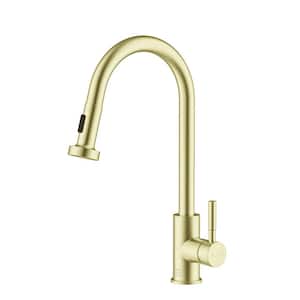 Pull Down Spray Wand