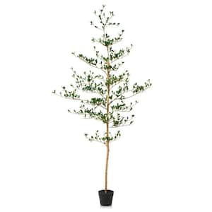 Pot