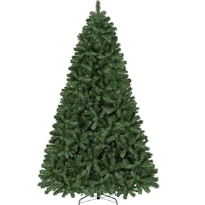 Unlit Christmas Trees