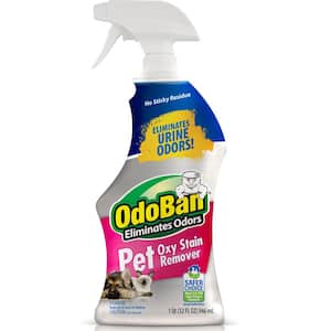 Laundry in Pet Stain & Odor Remover
