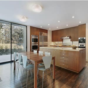 Flush Mount Ceiling Lights