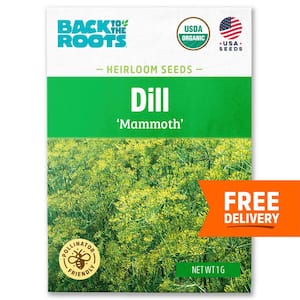 Dill