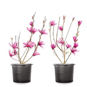 Flowering