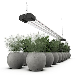 Plant Grow Lights