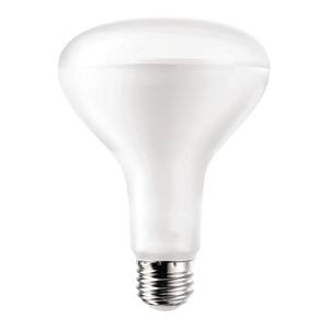 Flood and Spot Light Bulbs