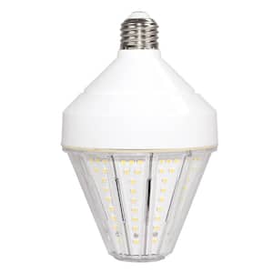 Landscaping Light Bulbs