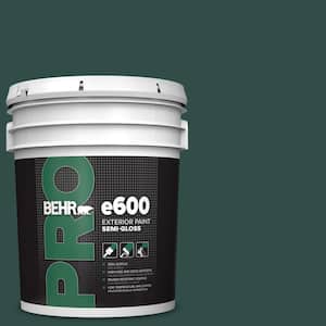 Exterior Paint