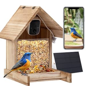 Multiple Bird Species