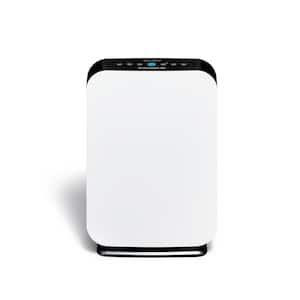 Large Room in Personal Air Purifiers