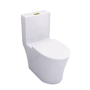Dual Flush