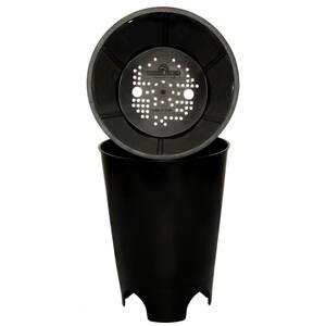 Hydroponic Gardening