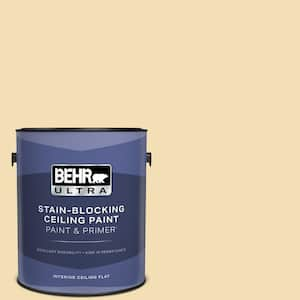 BEHR ULTRA