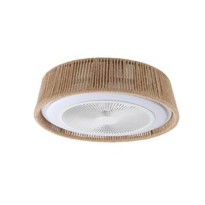 Flush Mount Ceiling Lights