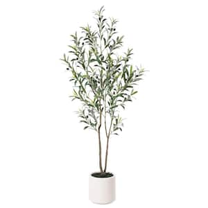 Olive in Artificial Trees