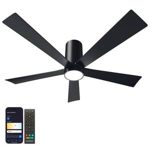 Ceiling Fans