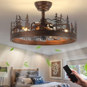 Ceiling Fans With Lights