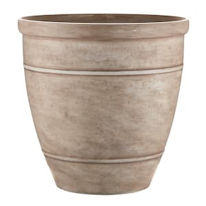 Large in Plant Pots