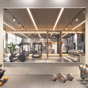 Mirror Height: Large (40-60 in.)