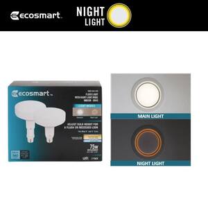 Light Bulb Shape Code: BR40