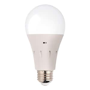 LED Light Bulbs