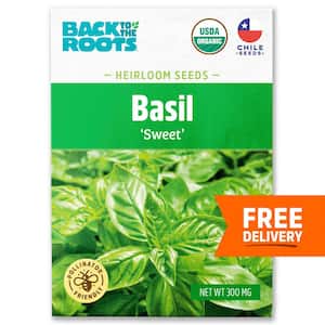 Basil