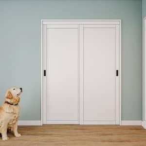 Door Size (WxH) in.: 60 x 96
