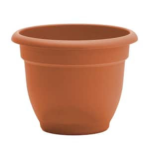 Terra Cotta