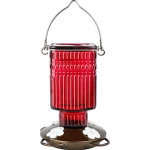 Hummingbird