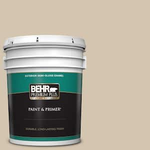 Exterior Paint