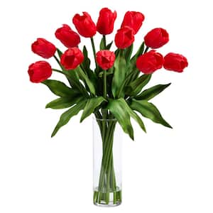 Tulip