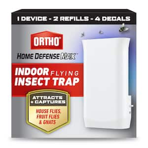 Insect Trap
