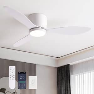 Ceiling Fans