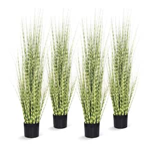 NATURAE DECOR