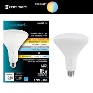 EcoSmart