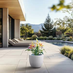 Medium in Plant Pots