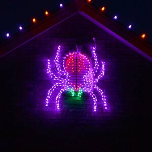 Spiders in Halloween Decorations