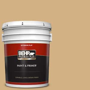Exterior Paint