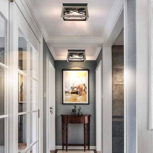 Flush Mount Ceiling Lights