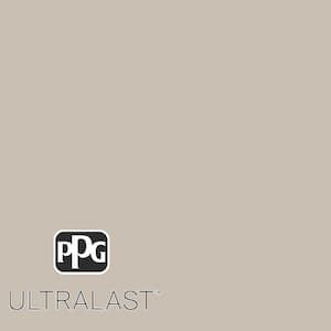 Ashen PPG1023-3  Paint and Primer_UL