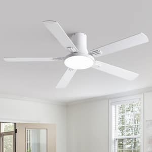 DC in Ceiling Fans