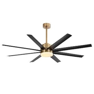 Black in Ceiling Fans With Lights