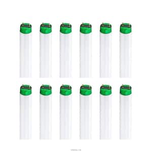 Number of Bulbs Included: 12