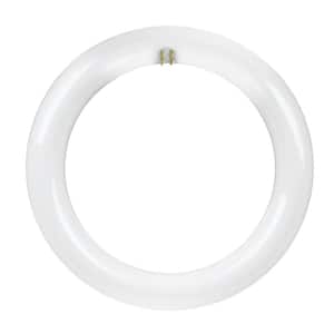 Light Bulb Shape Code: T9