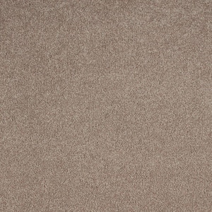 Beige in Texture Carpet