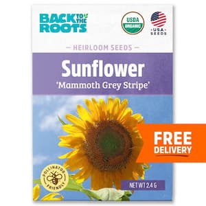 Flower Seeds