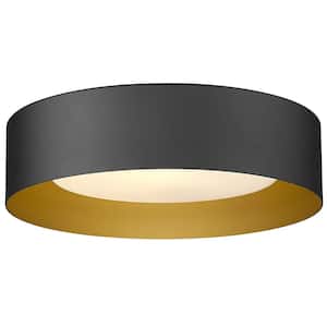 Flush Mount Ceiling Lights