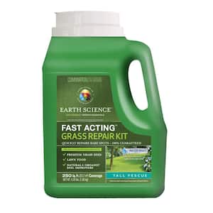 Grass Seed