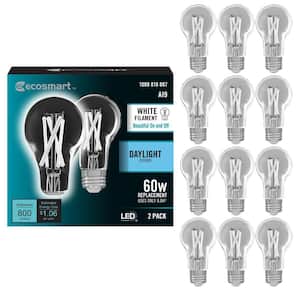 Wattage Equivalence: 100 Watt