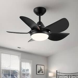 Ceiling Fans