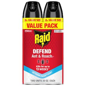 Roach in Bug Killer Spray